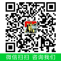 202504231745392471874905.jpg